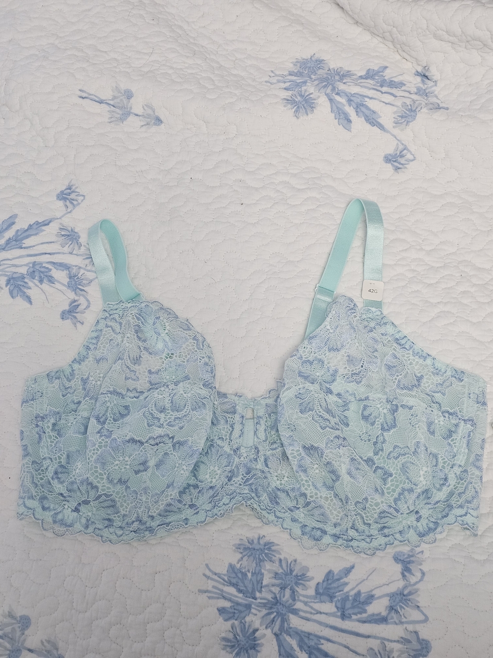 Light Aqua Lace Full-Coverage Underwire Bra